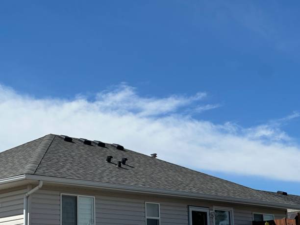 Best Flat Roofing  in Woodstock, GA